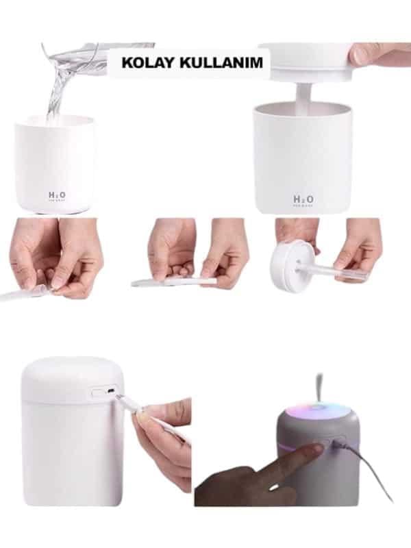 31012