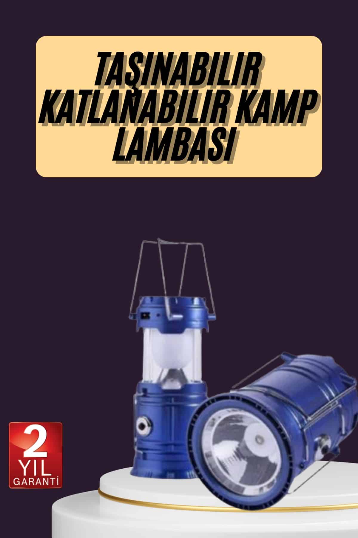 31556