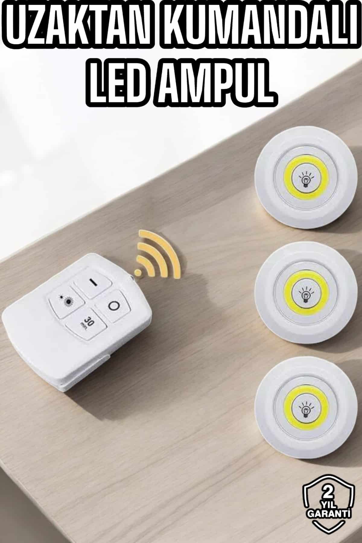 32566