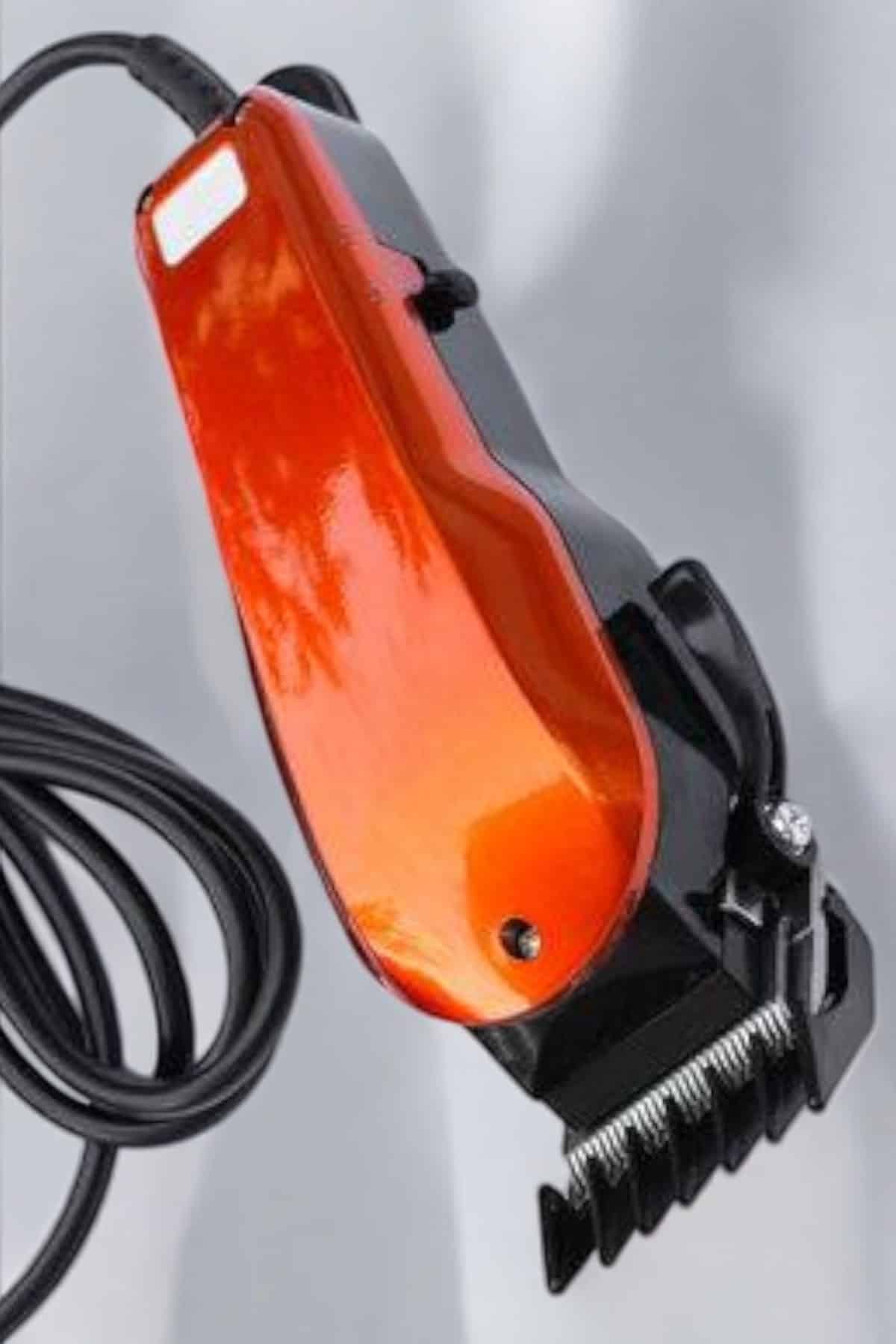 32649